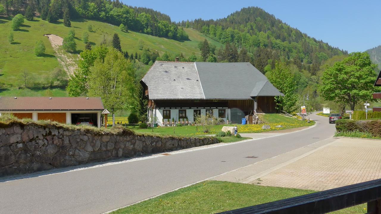 Gaestehaus Kaiser Menzenschwand-Hinterdorf Kültér fotó